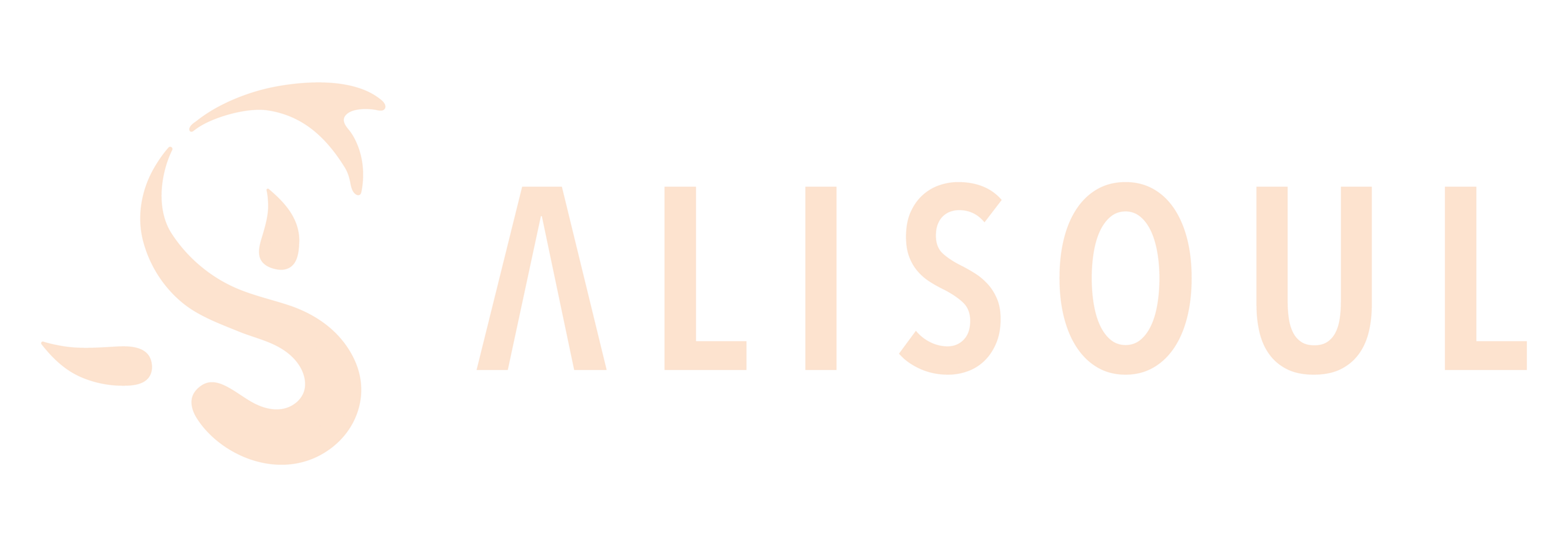 Alisoul